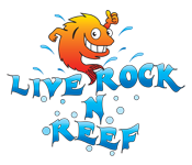 florida saltwater live rock